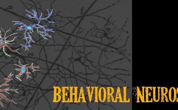 Behavioral Neuroscience