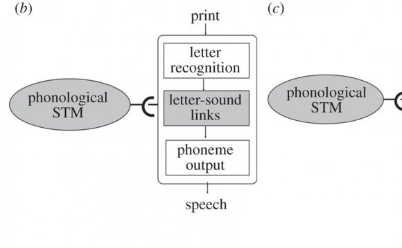 Download figure