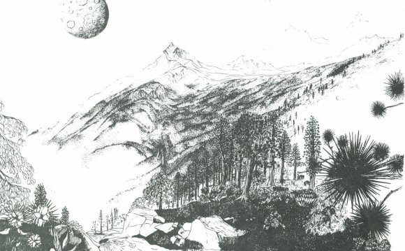 Directory of Graduate Programs