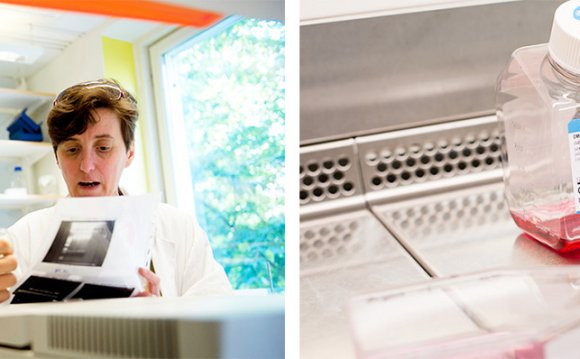 Jobs in Cognitive Neuroscience