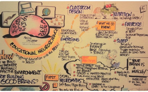 Cognitive Neuroscience textbook