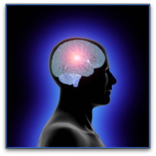 cognitive neuropsychology