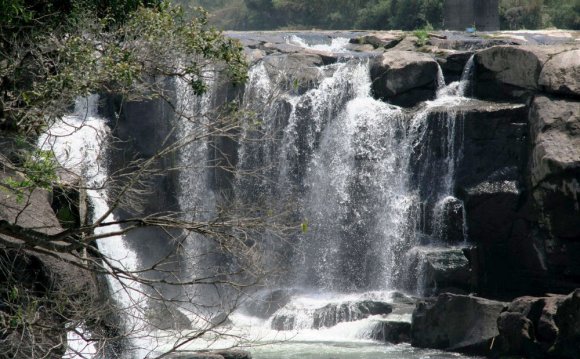 Developmental Psychology essay topics