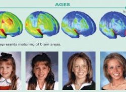 Diagram shows maturing brain areas from the age of 5 to 20