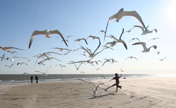 Mental illness and mental Disorder