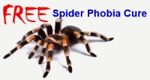 Free Spider Phobia Cure