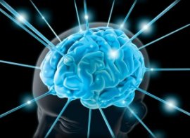 Introduction to Cognitive Neuroscience