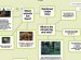 Non Experimental Methods Psychology