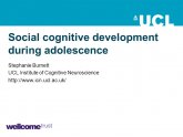 UCL Institute of Cognitive Neuroscience