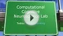 Computational Cognitive Neuroscience Lab
